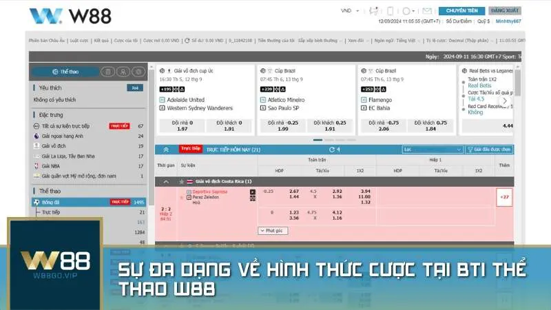 Sự đa dạng về hình thức cược tại BTi Thể thao W88