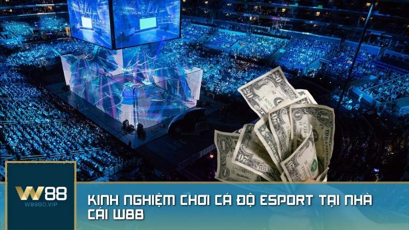 Kinh nghiệm chơi cá độ Esport tại nhà cái W88