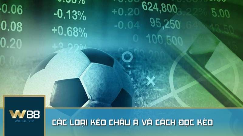 Các loại kèo châu Á phổ biến & cách đọc kèo chuẩn