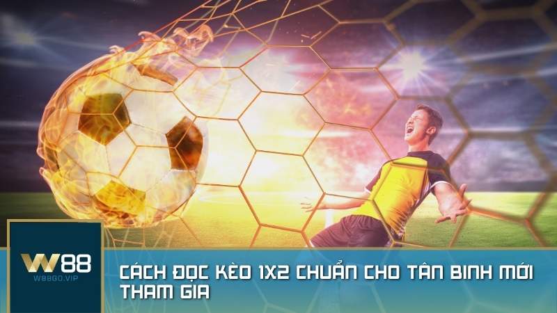 Cách đọc kèo 1x2 chuẩn cho tân binh mới tham gia