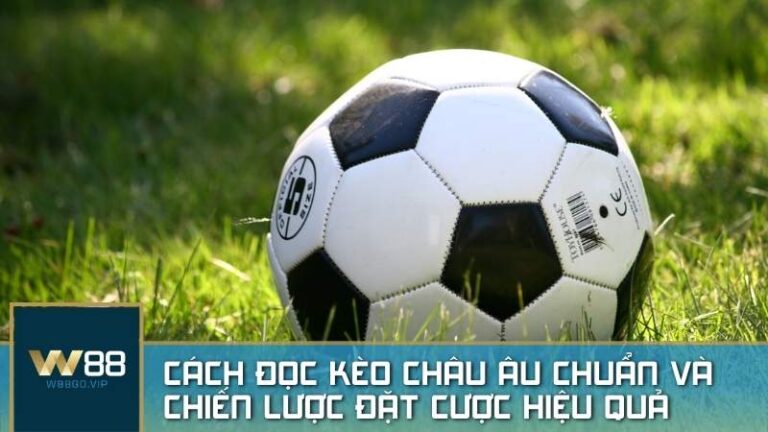 Cách đọc kèo Châu Âu chuẩn và chiến lược đặt cược hiệu quả