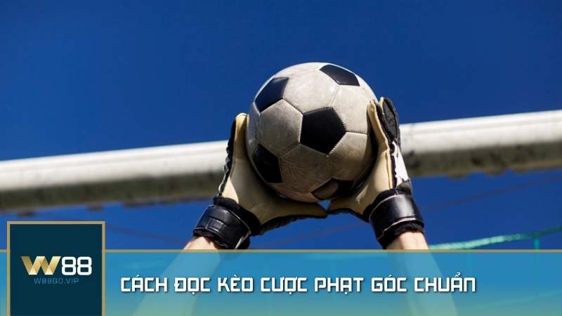 Cách đọc kèo cược phạt góc chuẩn