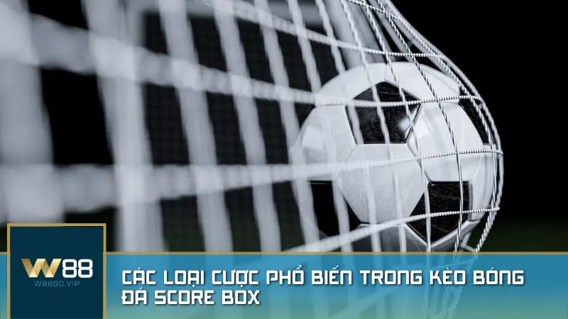 Các loại cược phổ biến trong kèo bóng đá Score Box