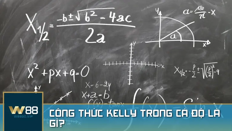 công thức Kelly trong cá độ