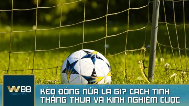 Kèo đồng nửa là gì? Cách tính thắng thua và kinh nghiệm cược từ cao thủ