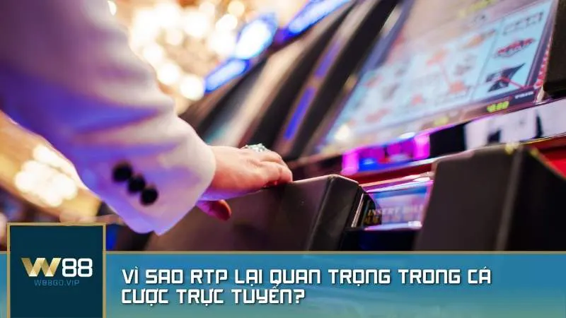 Vì sao RTP lại quan trọng trong cá cược trực tuyến?