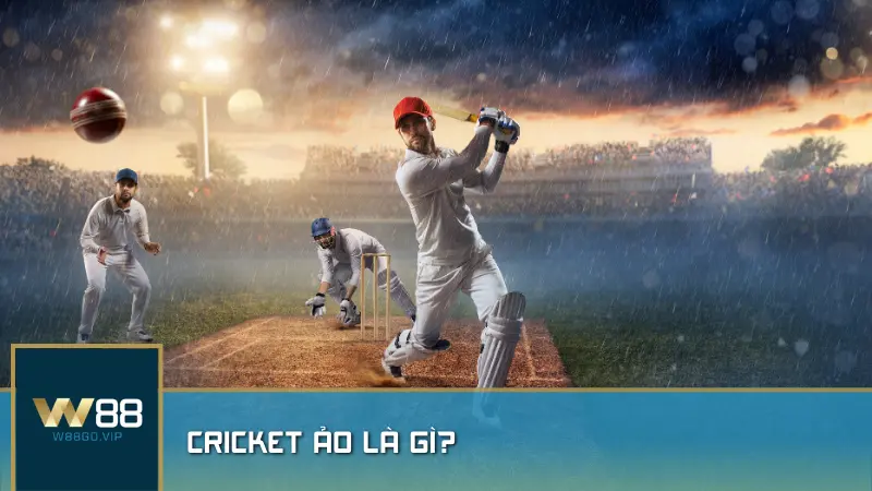 Cricket ảo là gì?