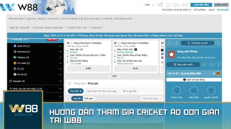 Hướng dẫn tham gia cricket ảo đơn giản tại W88